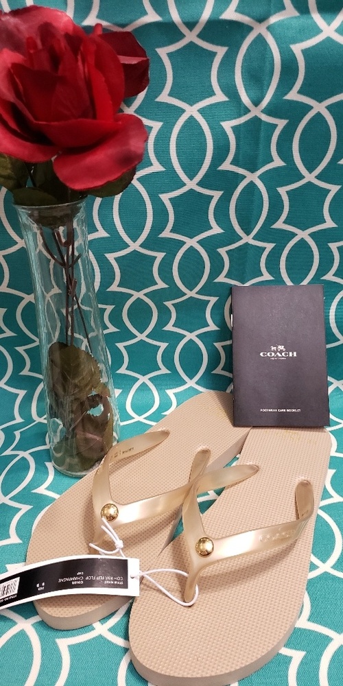 Trade for chloecordelia